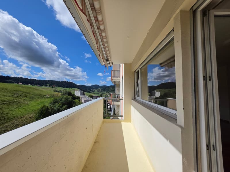 Spacieux appartement de 4 pièces avec vue imprenable! (18)