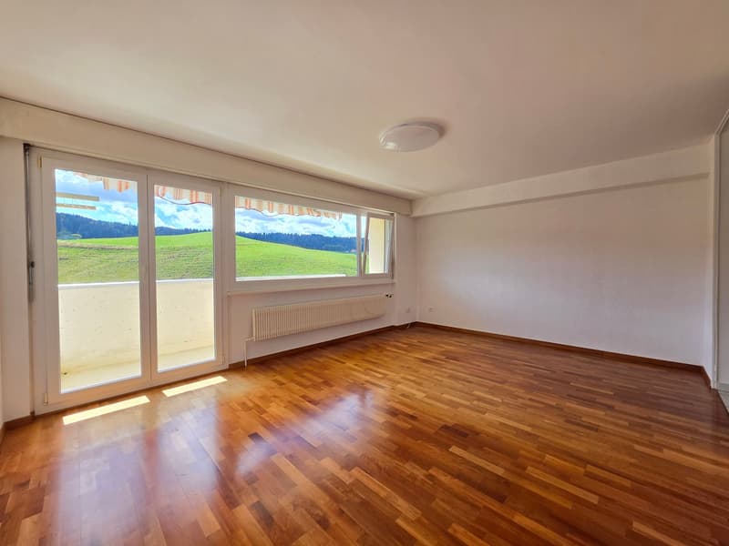 Spacieux appartement de 4 pièces avec vue imprenable! (7)