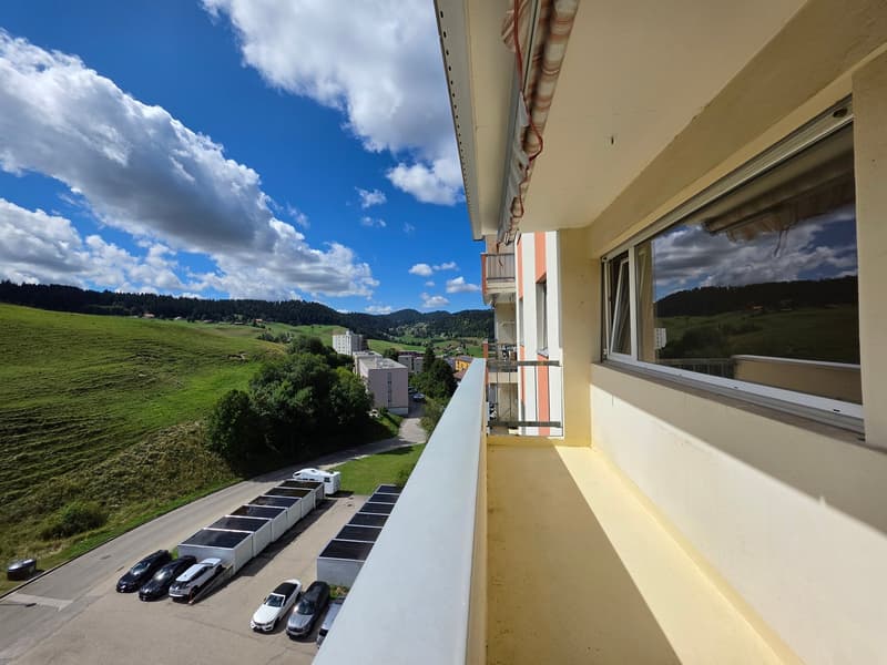 Spacieux appartement de 4 pièces avec vue imprenable! (19)