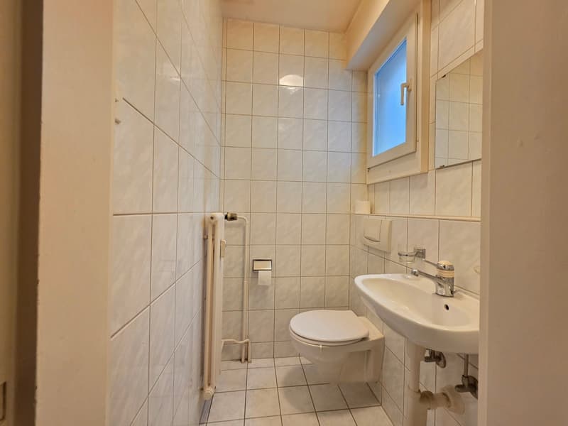 Grosszügige, helle 2-Zimmer-Wohnung, an zentrale Wohnlage (13)