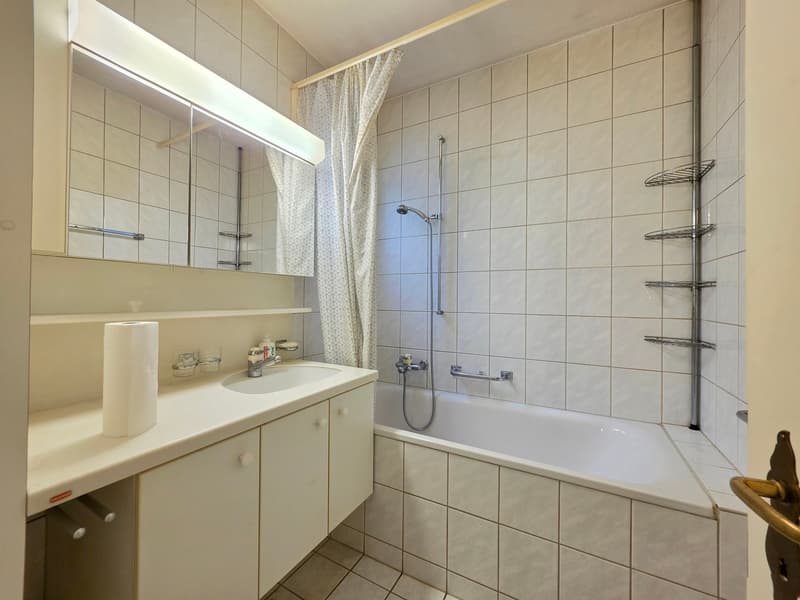 Grosszügige, helle 2-Zimmer-Wohnung, an zentrale Wohnlage (14)