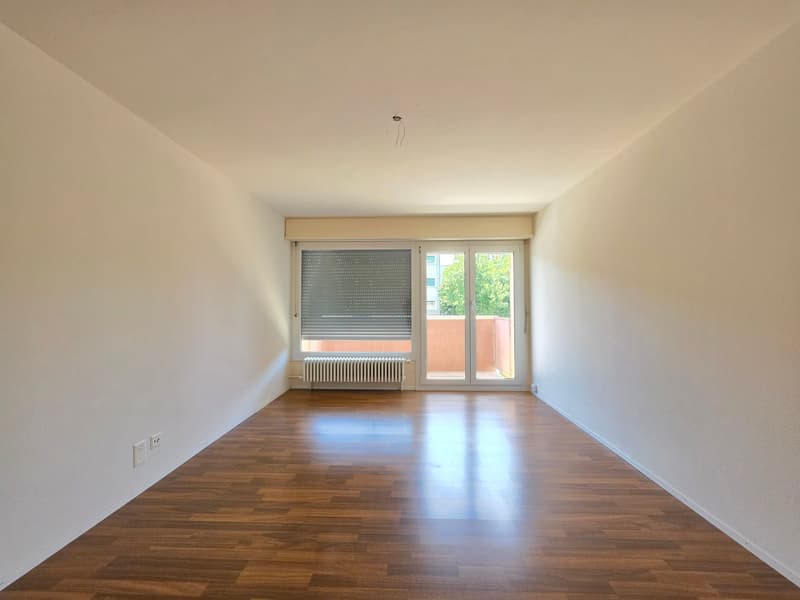 Charmante 4 Zimmer Wohnung per sofort zu vermieten. (9)