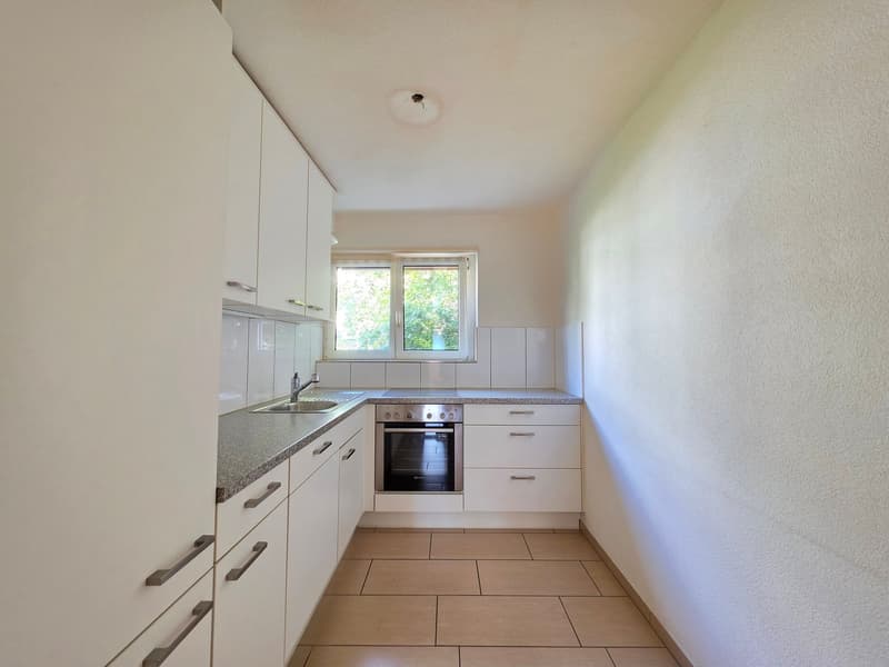 Charmante 4 Zimmer Wohnung per sofort zu vermieten. (3)