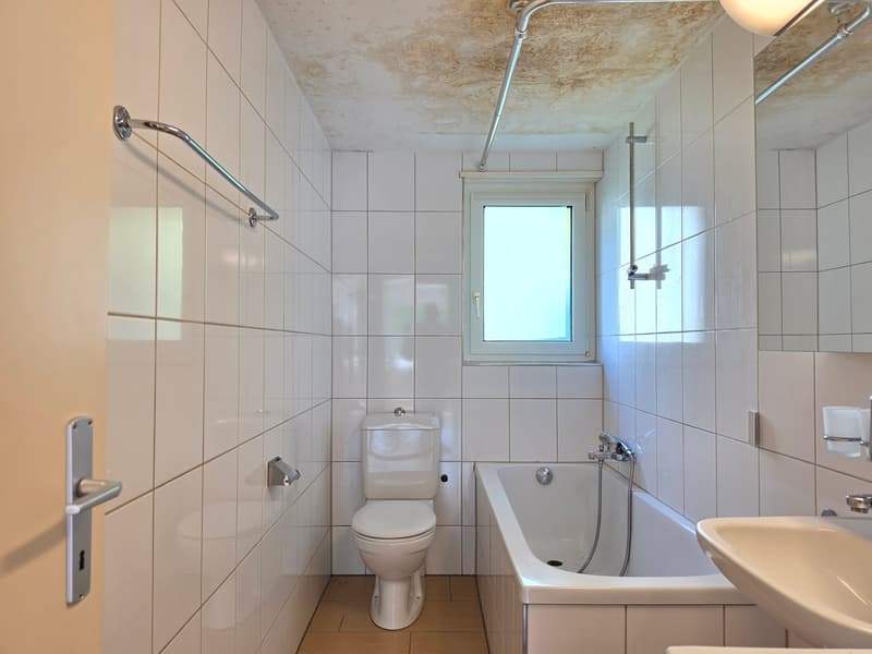 Charmante 4 Zimmer Wohnung per sofort zu vermieten. (6)