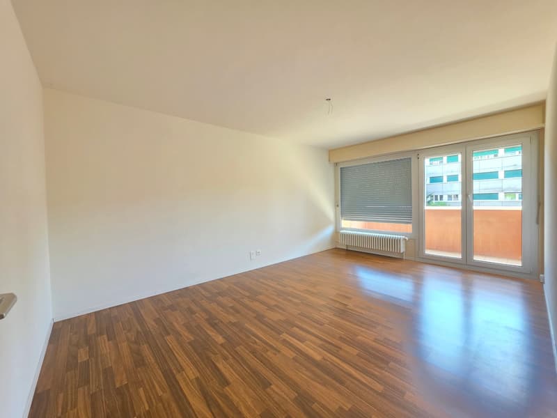 Charmante 4 Zimmer Wohnung per sofort zu vermieten. (10)
