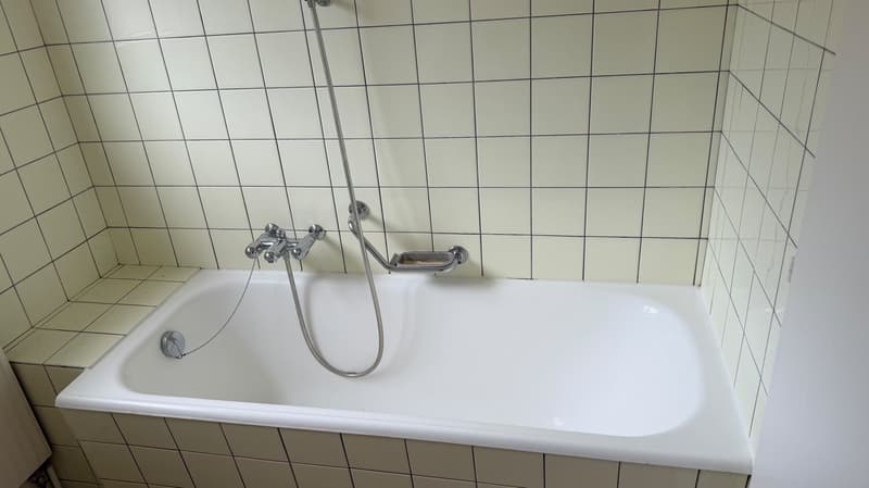 Charmant studio – idéal pour les célibataires ! (5)