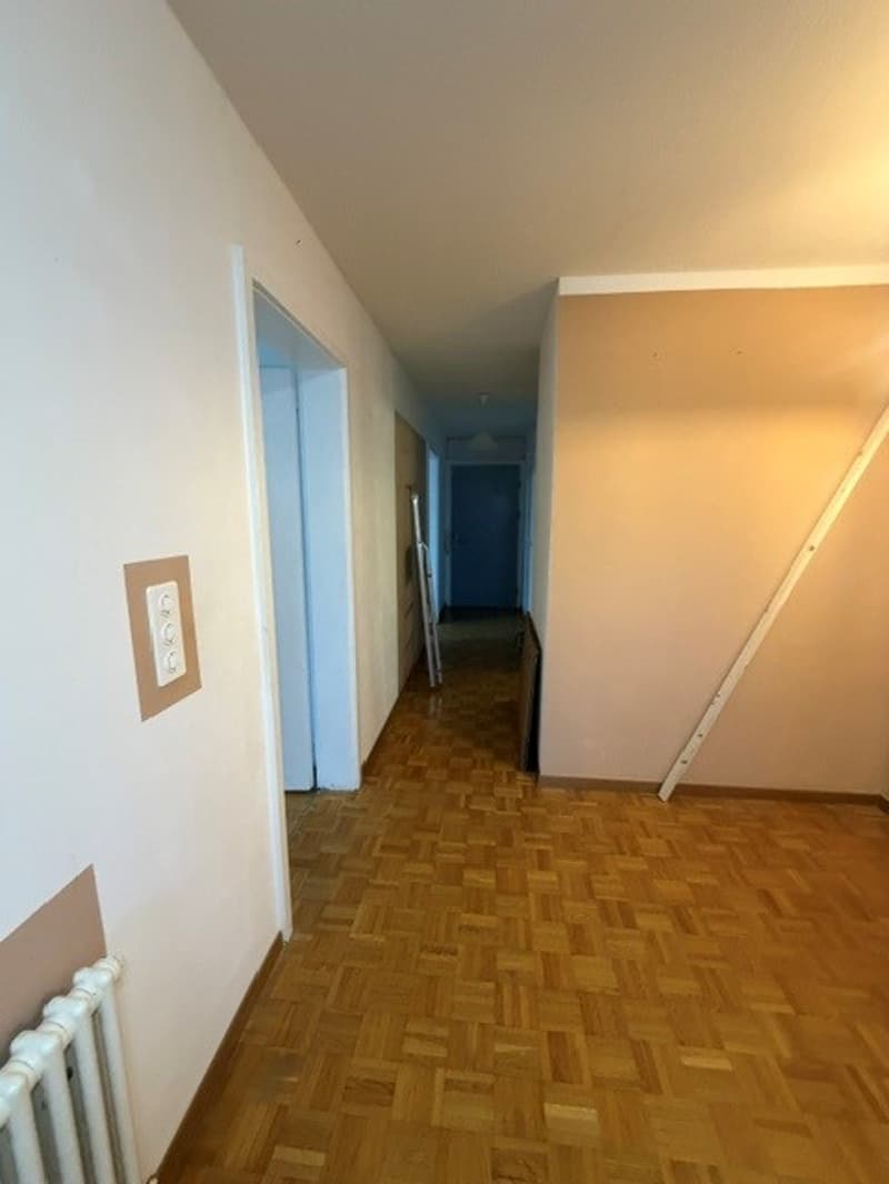 Grosszügige 2 ZWG per sofort zu vermieten (6)