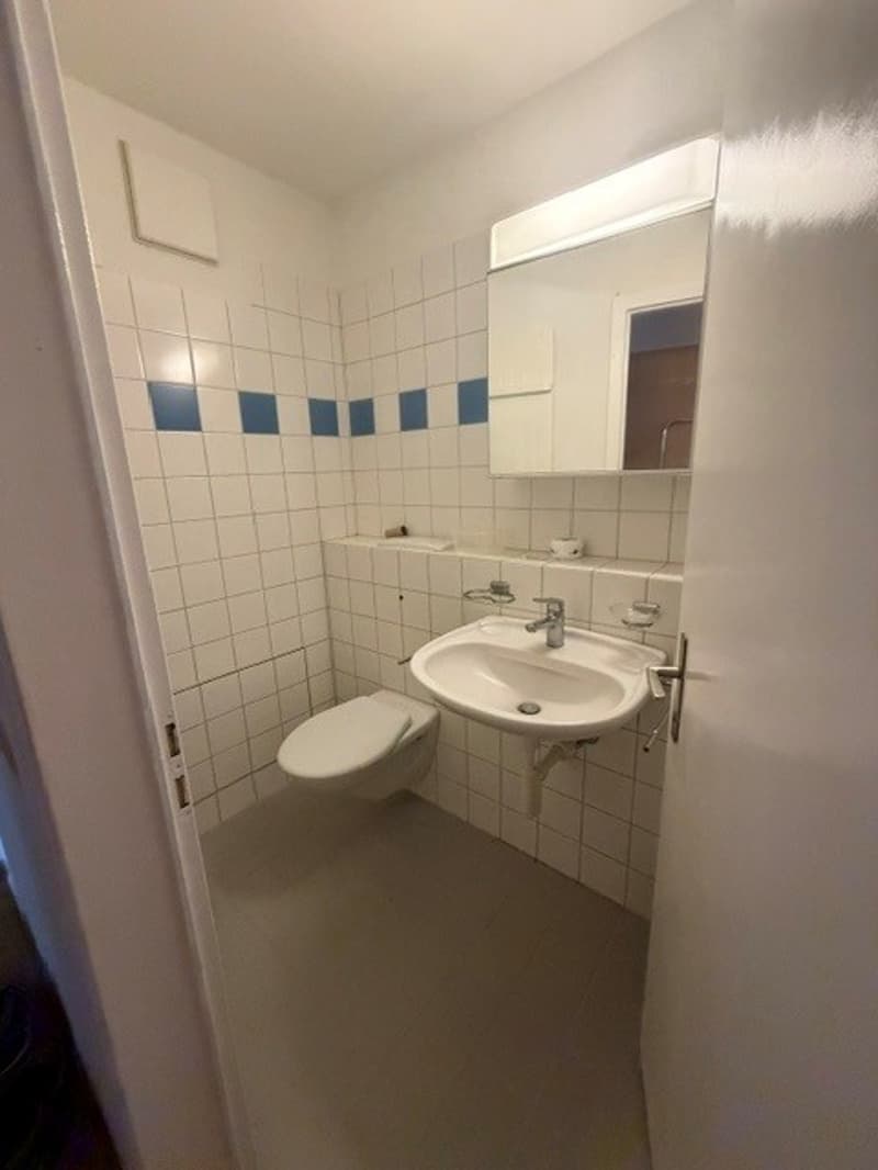Grosszügige 2 ZWG per sofort zu vermieten (13)