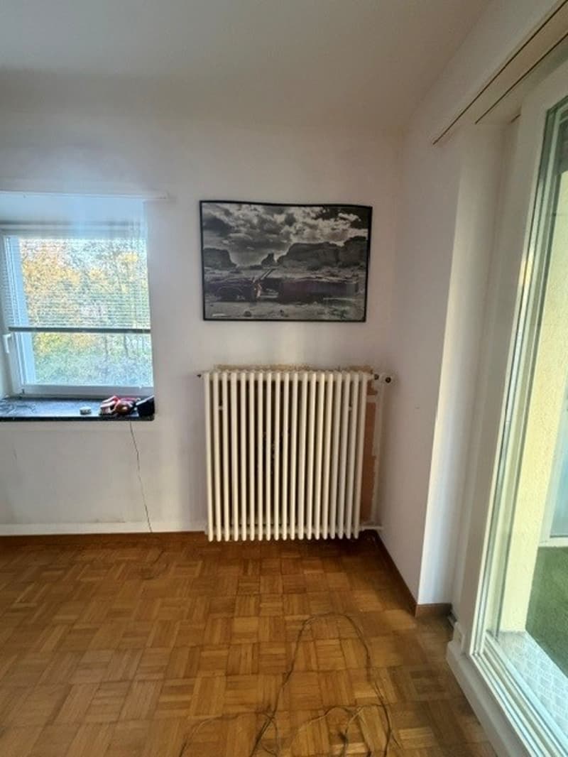 Grosszügige 2 ZWG per sofort zu vermieten (11)