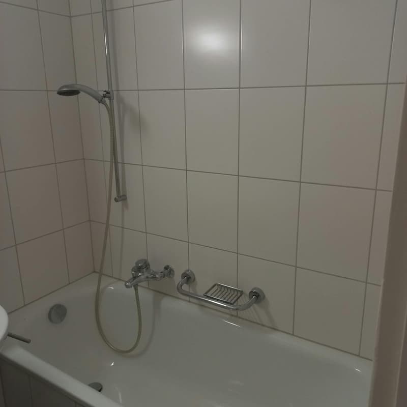 Gemütliche 2-Zimmer-Wohnung in Bettlach per sofort zu vermieten (11)