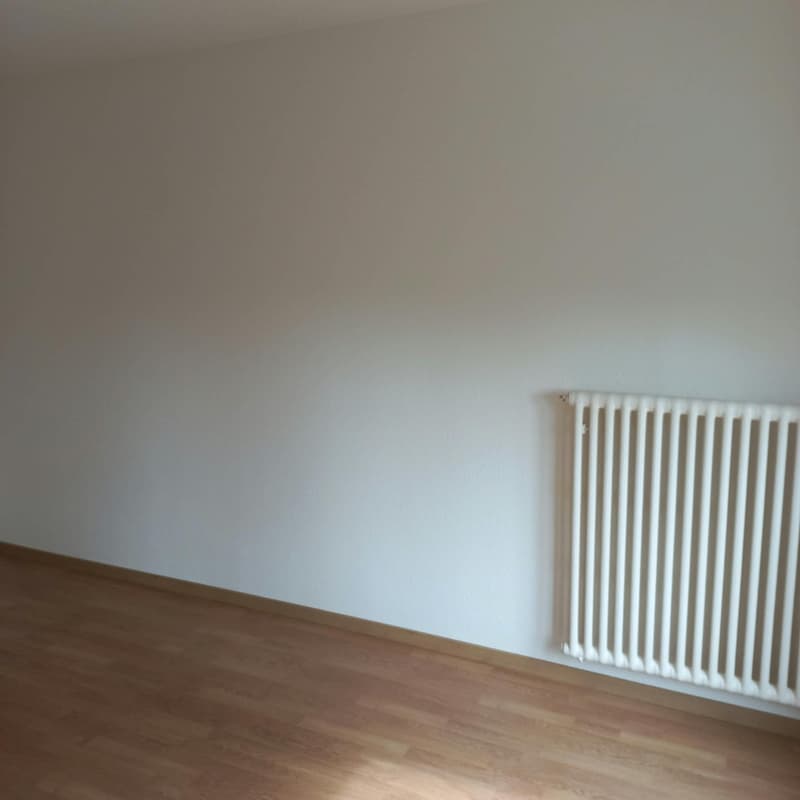 Gemütliche 2-Zimmer-Wohnung in Bettlach per sofort zu vermieten (9)