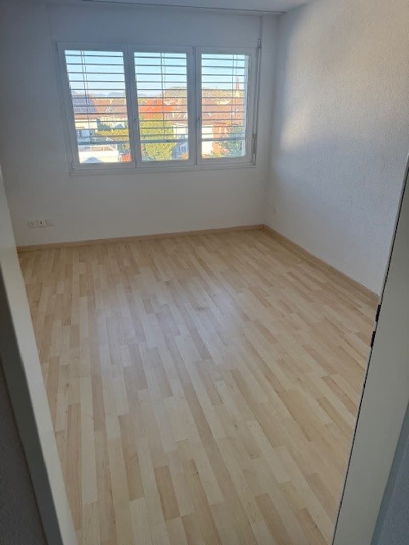 Grosszügige Attikawohnung mit Blick auf Olten! (10)
