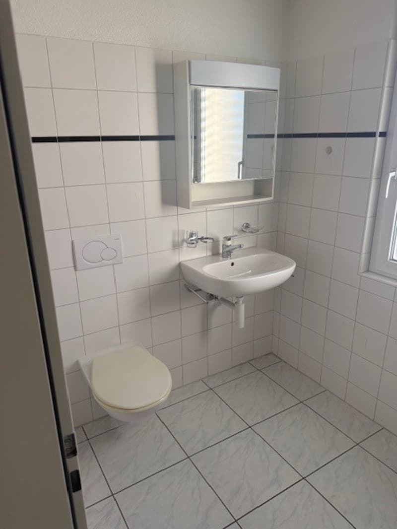 Grosszügige Attikawohnung mit Blick auf Olten! (5)