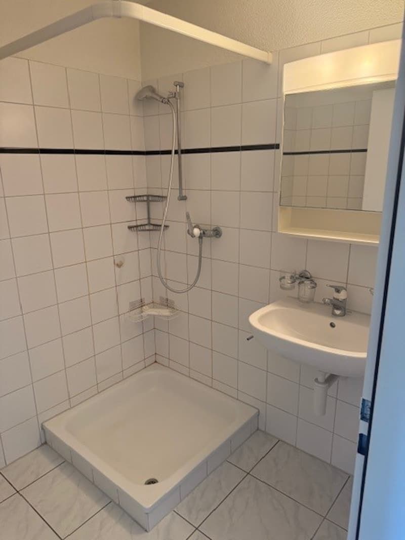 Grosszügige Attikawohnung mit Blick auf Olten! (7)