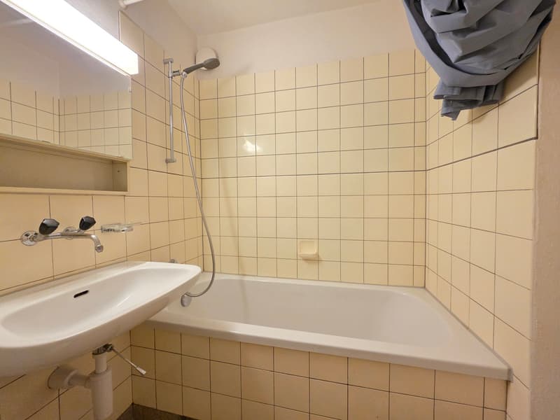 1 Zimmer-Wohnung in Zürich mieten (8)