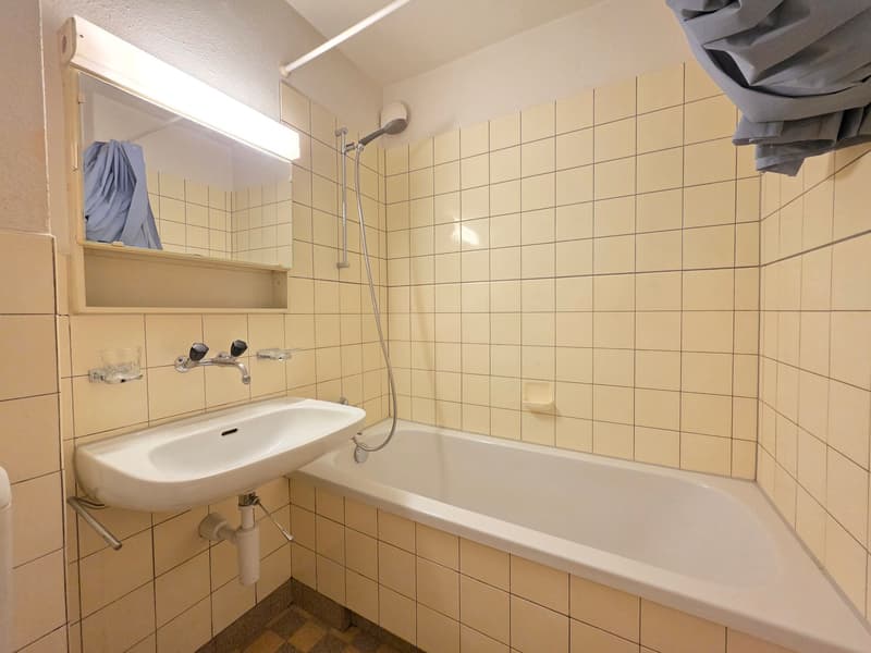 1 Zimmer-Wohnung in Zürich mieten (7)