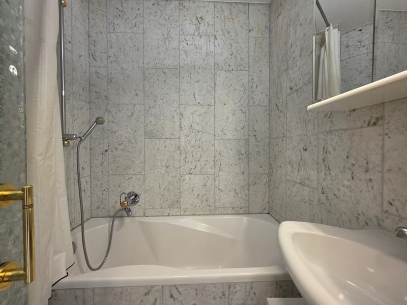 Moderne 1 Zimmer Wohnung in Zürich mieten (8)