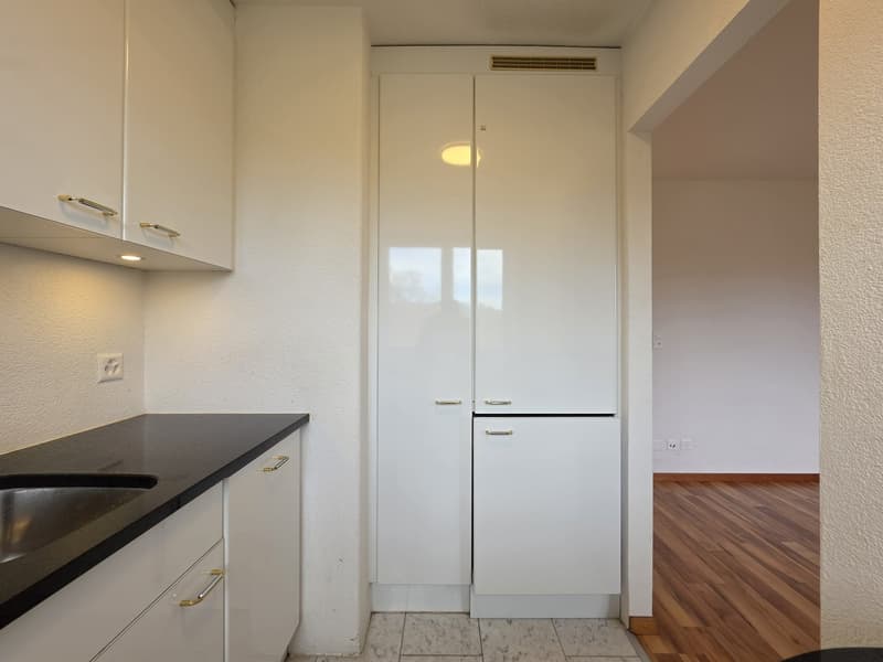 Moderne 1 Zimmer Wohnung in Zürich mieten (5)