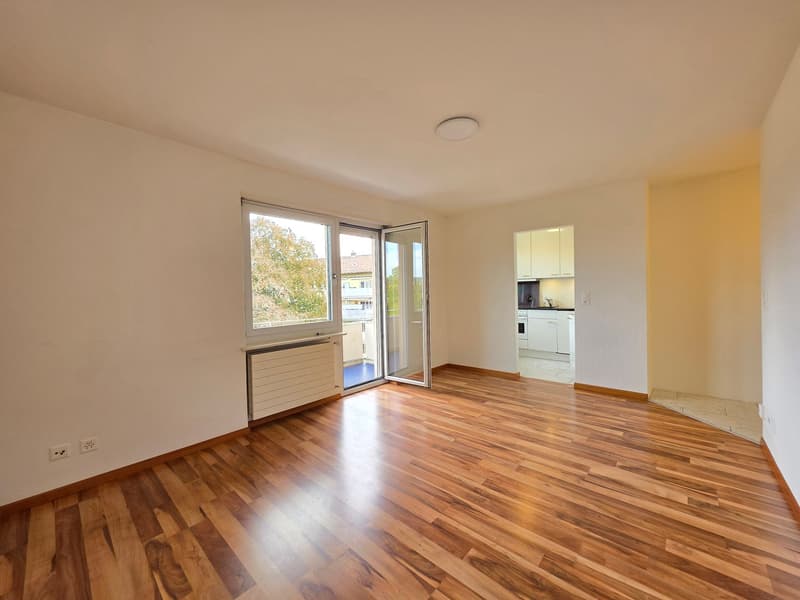 Moderne 1 Zimmer Wohnung in Zürich mieten (11)