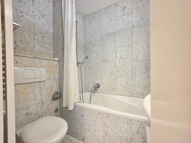 Moderne 1 Zimmer Wohnung in Zürich mieten (7)