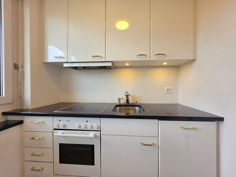 Moderne 1 Zimmer Wohnung in Zürich mieten (2)