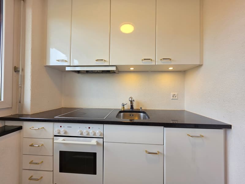 Moderne 1 Zimmer Wohnung in Zürich mieten (1)