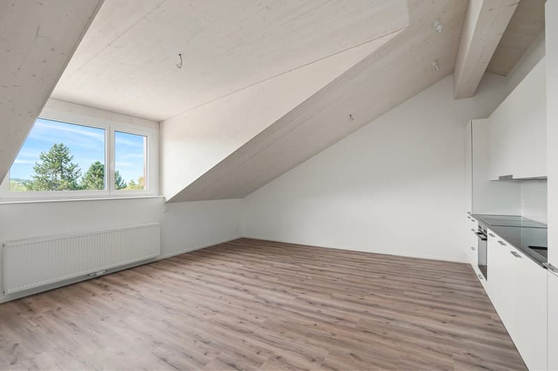 Neurenovierte 2-Zimmer-Dachwohnung (3)