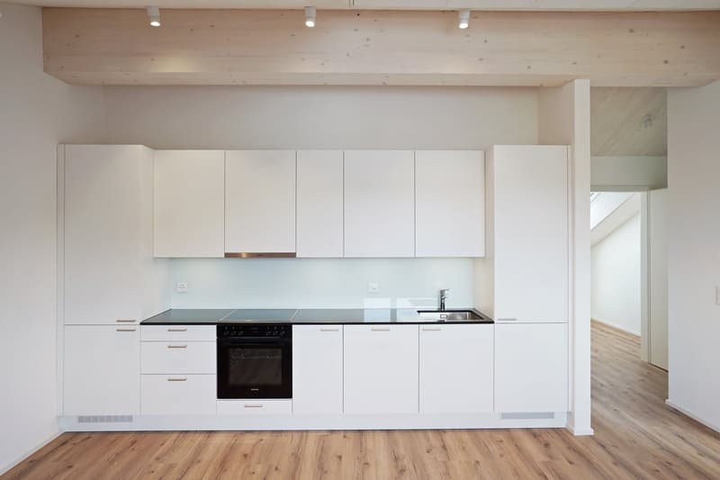 Neurenovierte 2-Zimmer-Dachwohnung (2)