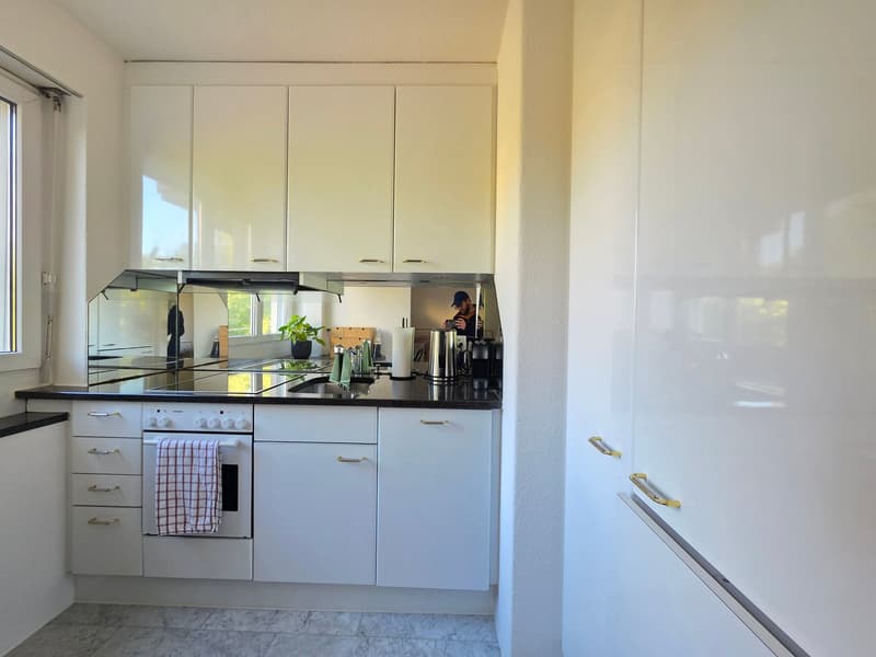 Helles 1-Zimmer-Apartment in Zürich Wiedikon (4)