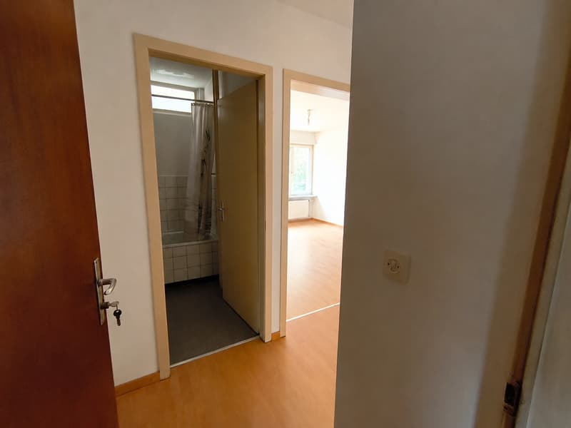 Grosse, helle 1 Zimmerwohnung perfekt für Singles! (12)