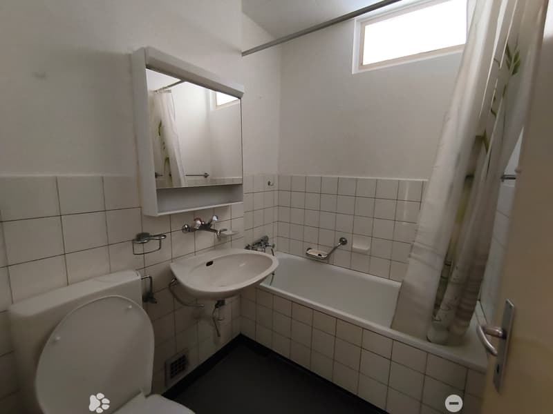 Grosse, helle 1 Zimmerwohnung perfekt für Singles! (4)