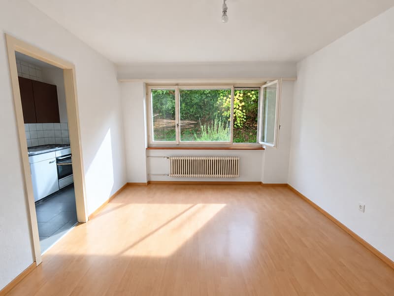 Grosse, helle 1 Zimmerwohnung perfekt für Singles! (8)