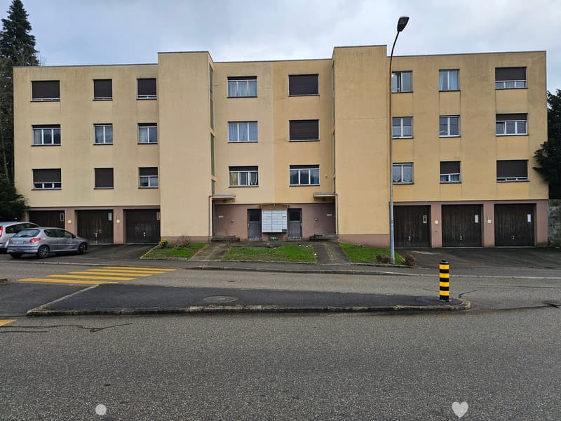 Gemütliche 2-Zimmer-Wohnung im Erdgeschoss in Biel ! (1)