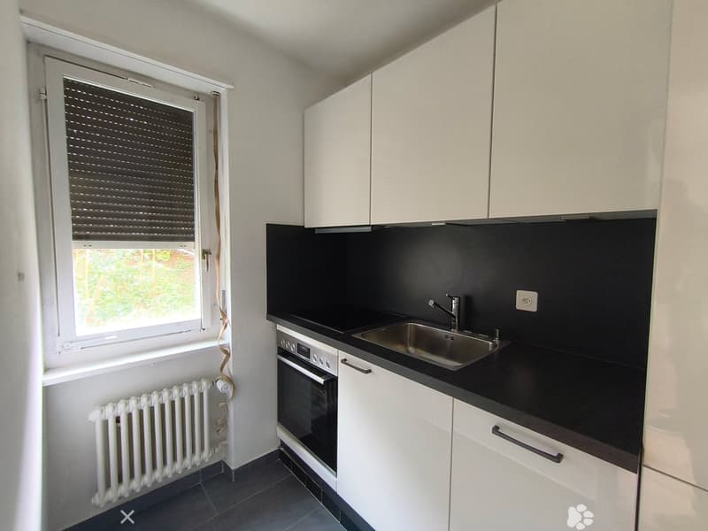 Gemütliche 2-Zimmer-Wohnung im Erdgeschoss in Biel ! (2)