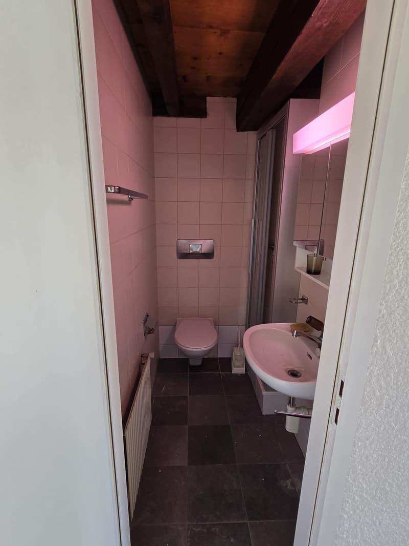 Studio cosy au 5ème étage à Sion, disponible immédiatement (7)