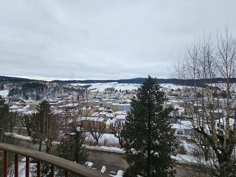 Charmant appartement de 2 pièces à Le Locle, disponible immédiatement (13)