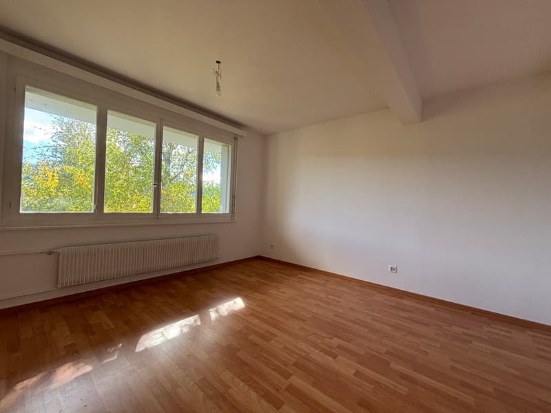 Charmant appartement de 2 pièces à Le Locle, disponible immédiatement (6)