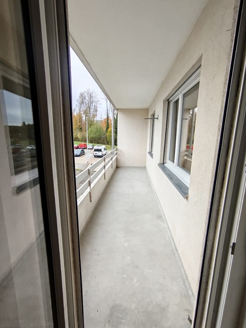 Gepflegte und grosszügige 3.5 Zwg per sofort zu vermieten (14)