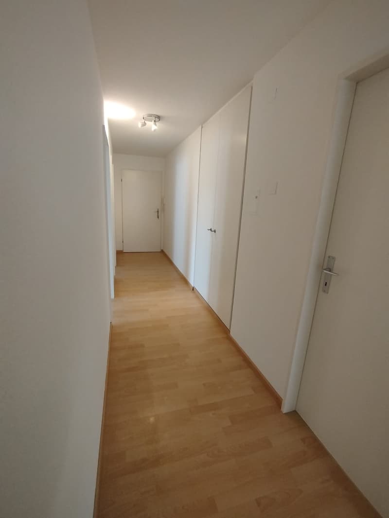 Gepflegte und grosszügige 3.5 Zwg per sofort zu vermieten (11)