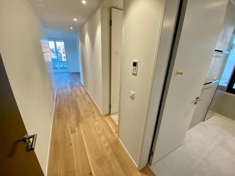 Modern and quiet 2.5-room apartment - near Bucheggplatz (3)