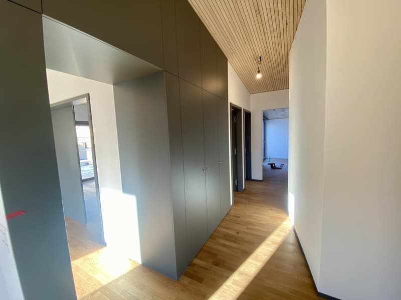 Magnifico appartamento 4,5 locali con vista sul lago (12)