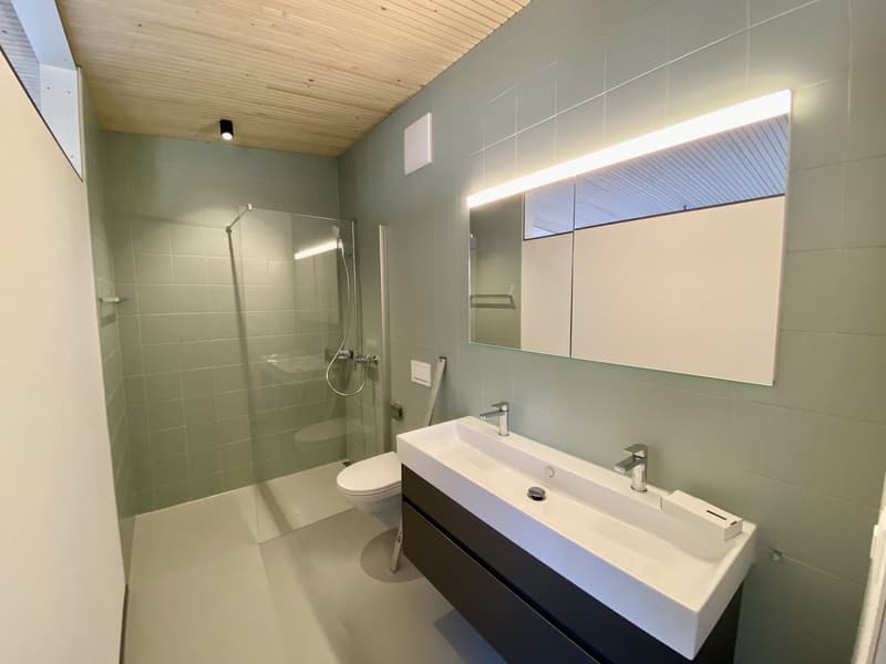 Magnifico appartamento 4,5 locali con vista sul lago (10)