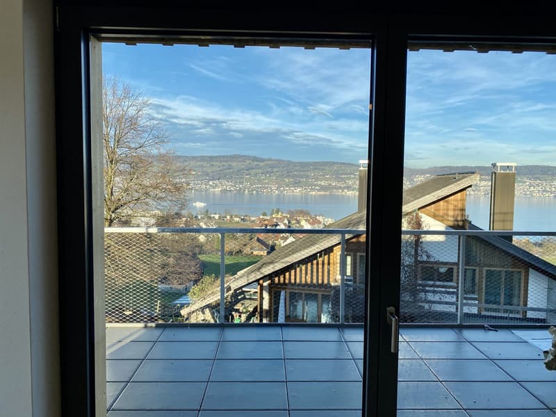 Magnifico appartamento 4,5 locali con vista sul lago (9)