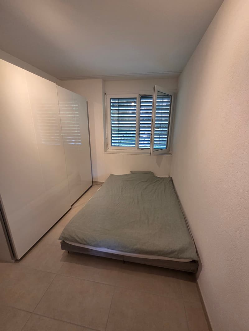 Attractive 3.5 room apartment in Spreitenbach (6)