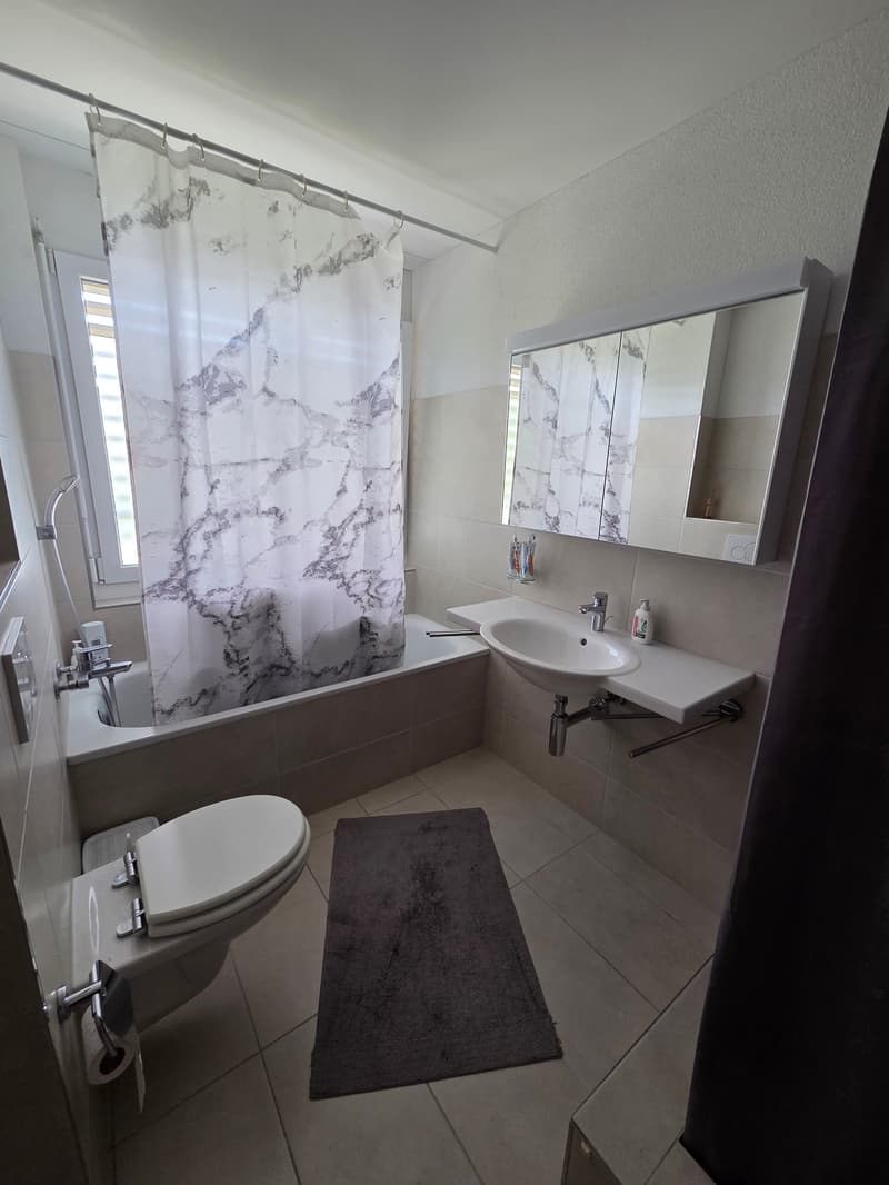Attractive 3.5 room apartment in Spreitenbach (8)