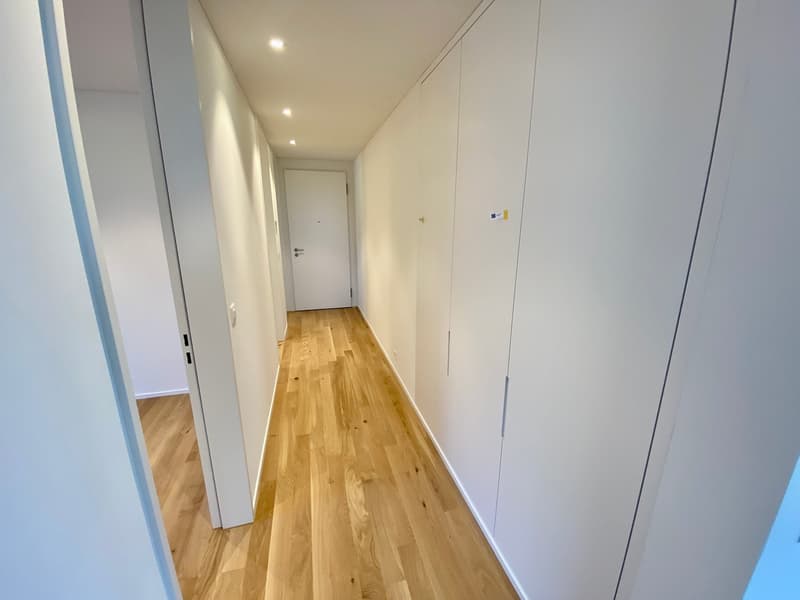 Appartamento moderno e tranquillo di 2,5 locali - vicino a Bucheggplatz (3)
