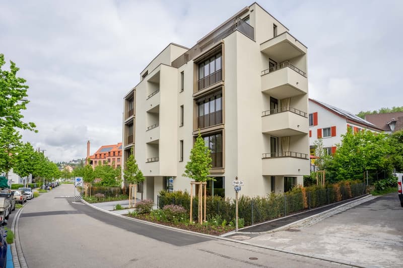 Appartamento moderno e tranquillo di 2,5 locali - vicino a Bucheggplatz (1)
