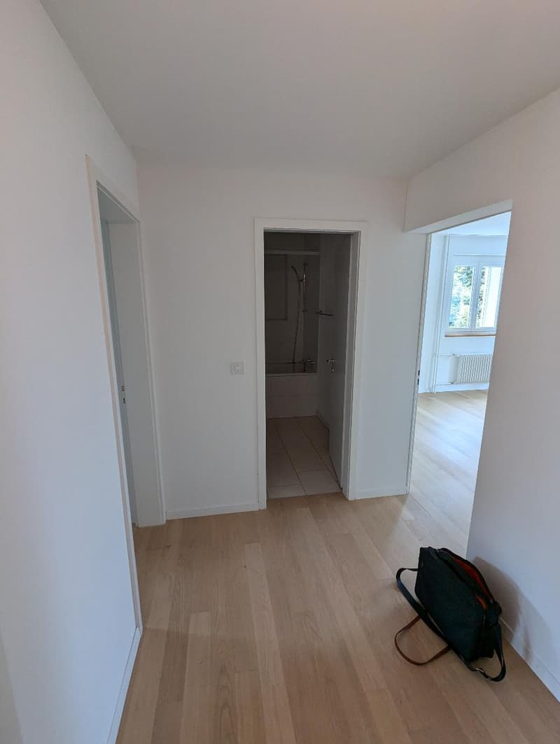 Appartement attractif de 4,5 pièces à Schlieren (6)