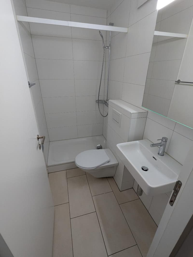 Appartement attractif de 4,5 pièces à Schlieren (8)