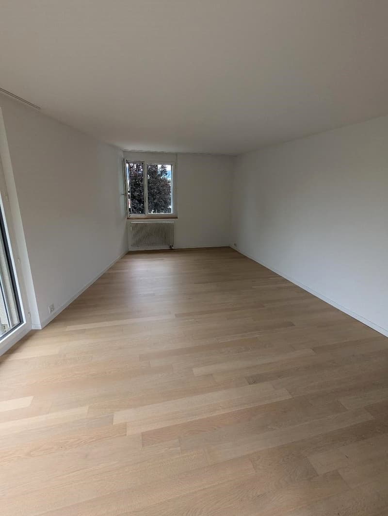 Appartement attractif de 4,5 pièces à Schlieren (5)